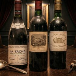découvrez un restaurant unique, étranger au terroir français, reconnu mondialement pour sa meilleure carte des vins, offrant une expérience œnologique inégalée.