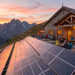 découvrez le petit refuge, une institution locale incontournable qui se distingue par son engagement et sa force au cœur de la communauté.