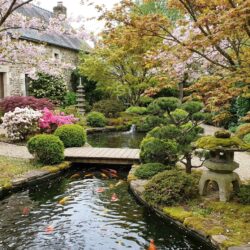 découvrez un jardin enchanteur en maine-et-loire, où la beauté naturelle séduit les visiteurs et contribue au succès du restaurant local.