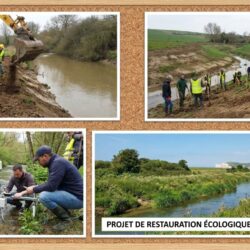 découvrez comment plusieurs millions d’euros seront investis pour la restauration prochaine de trois fleuves au sein de la communauté de communes de la côte, un projet majeur pour la préservation de l’environnement et le développement durable local.
