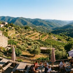 découvrez les terrasses de la borie à mandagout, le restaurant gastronomique de florian chekroun, et laissez-vous surprendre par ses nouveautés culinaires alliant tradition et innovation.