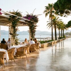 découvrez l'escapade secrète d'elton john sur une île près de cannes, où une table exclusive les a conquis lors d'un moment inoubliable en france.